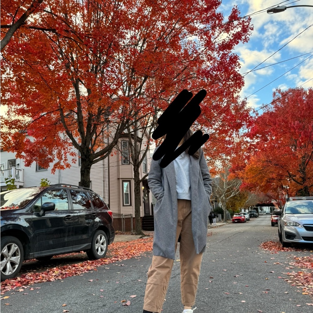 Zara Gray Long Coat